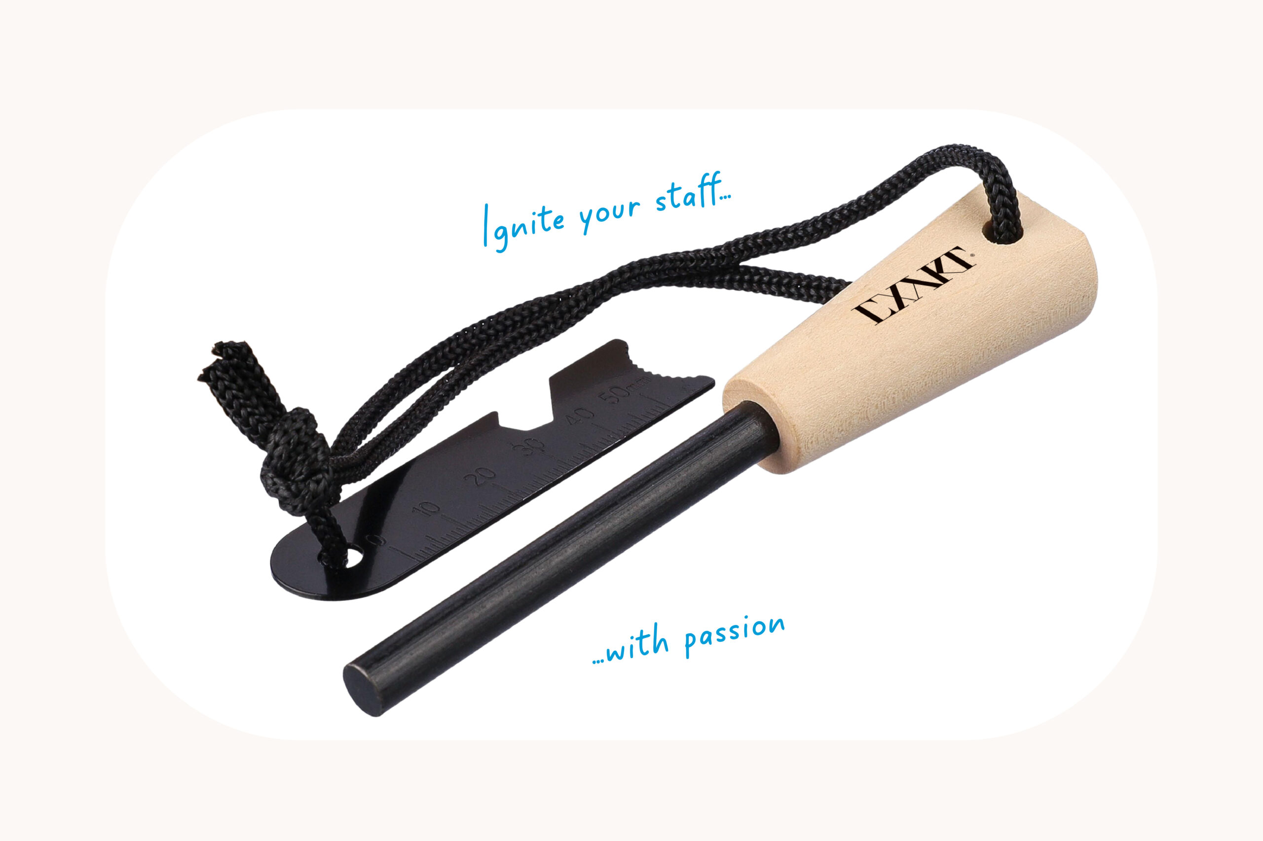 NewsletterImages_November-13