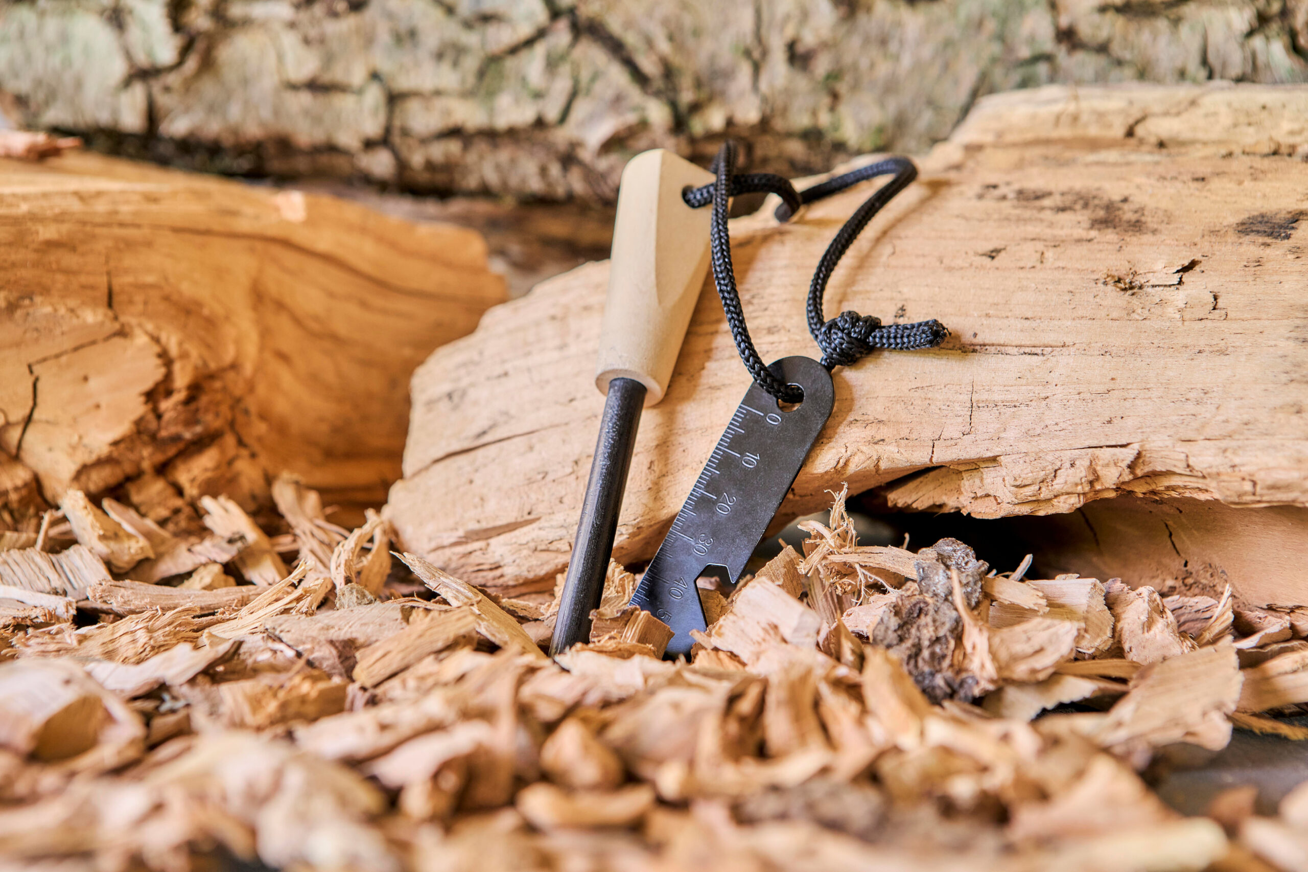 NewsletterImages_November-18