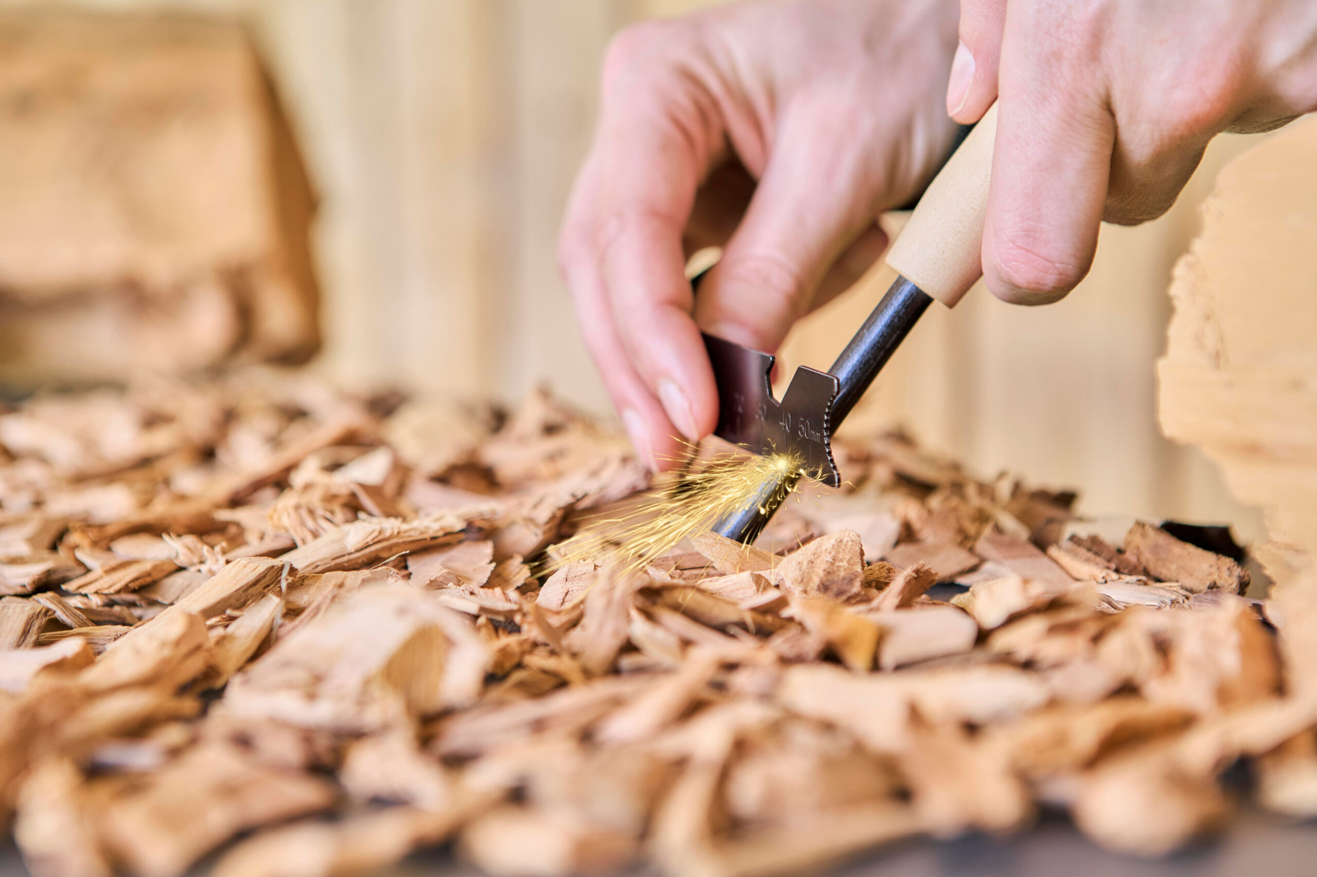 NewsletterImages_November-19